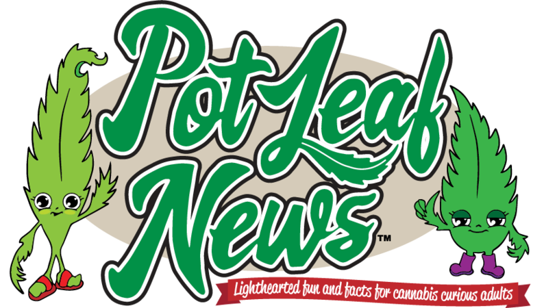 Pot Leaf News