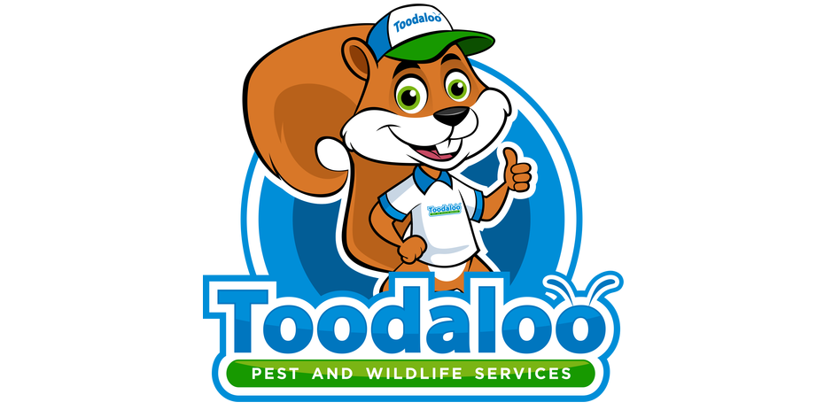 New concept on Canada Franchise Opportunities: Toodaloo