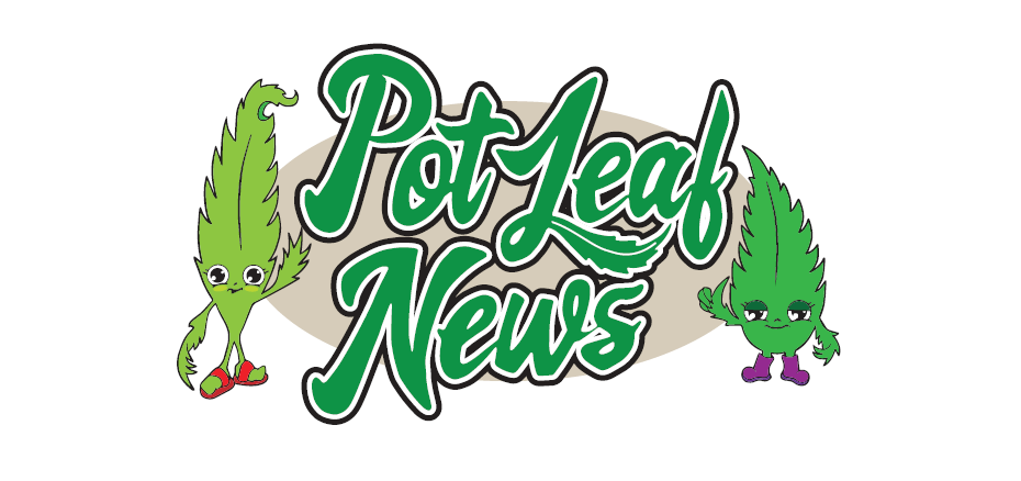 New on Canada Franchise Opportunities: Pot Leaf News